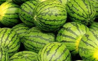 56吃瓜网每日大赛,每日大赛精彩回顾，瓜友狂欢盛宴