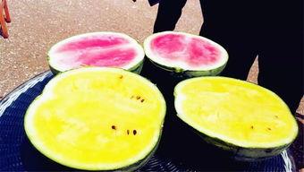 网爆吃瓜爆料图片高清大图