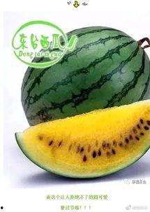 吃瓜网是全球,全球热点事件一网打尽